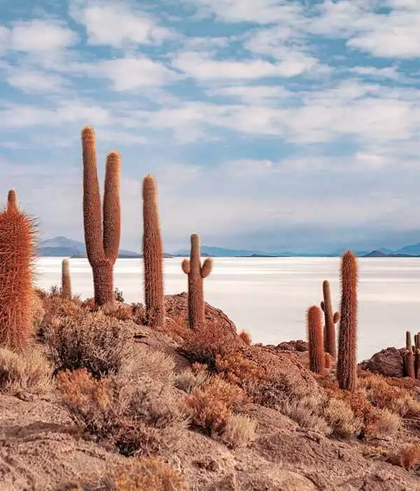 Viajes a Bolivia