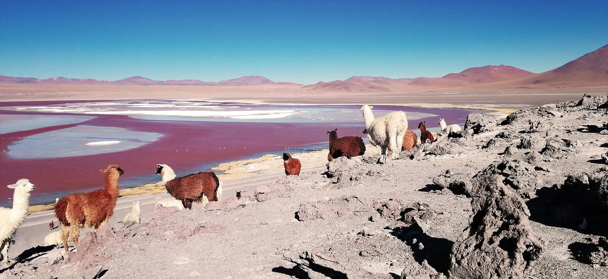 Viatges a la Llacuna Colorada
