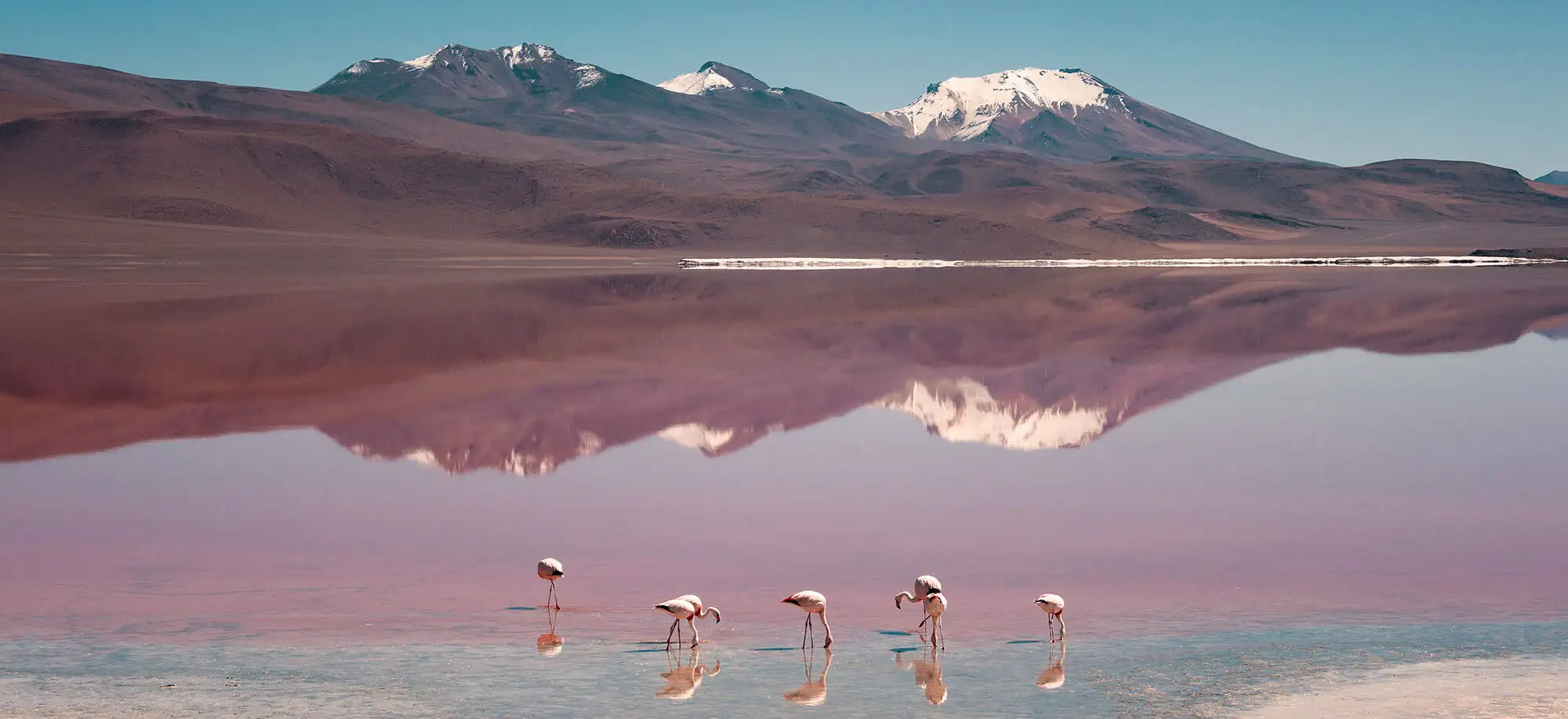 image-viajar-a-bolivia-laguna-colorada-g1.webp - Pangea Viajes