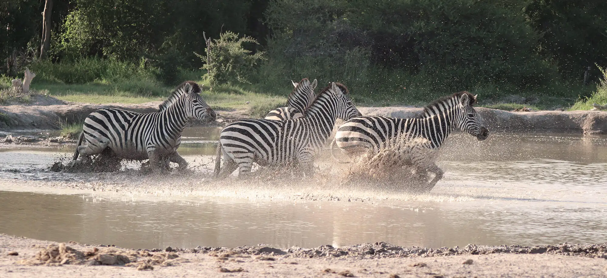 image-viajar-a-botsuana-kasane-g1.webp - Pangea Viajes