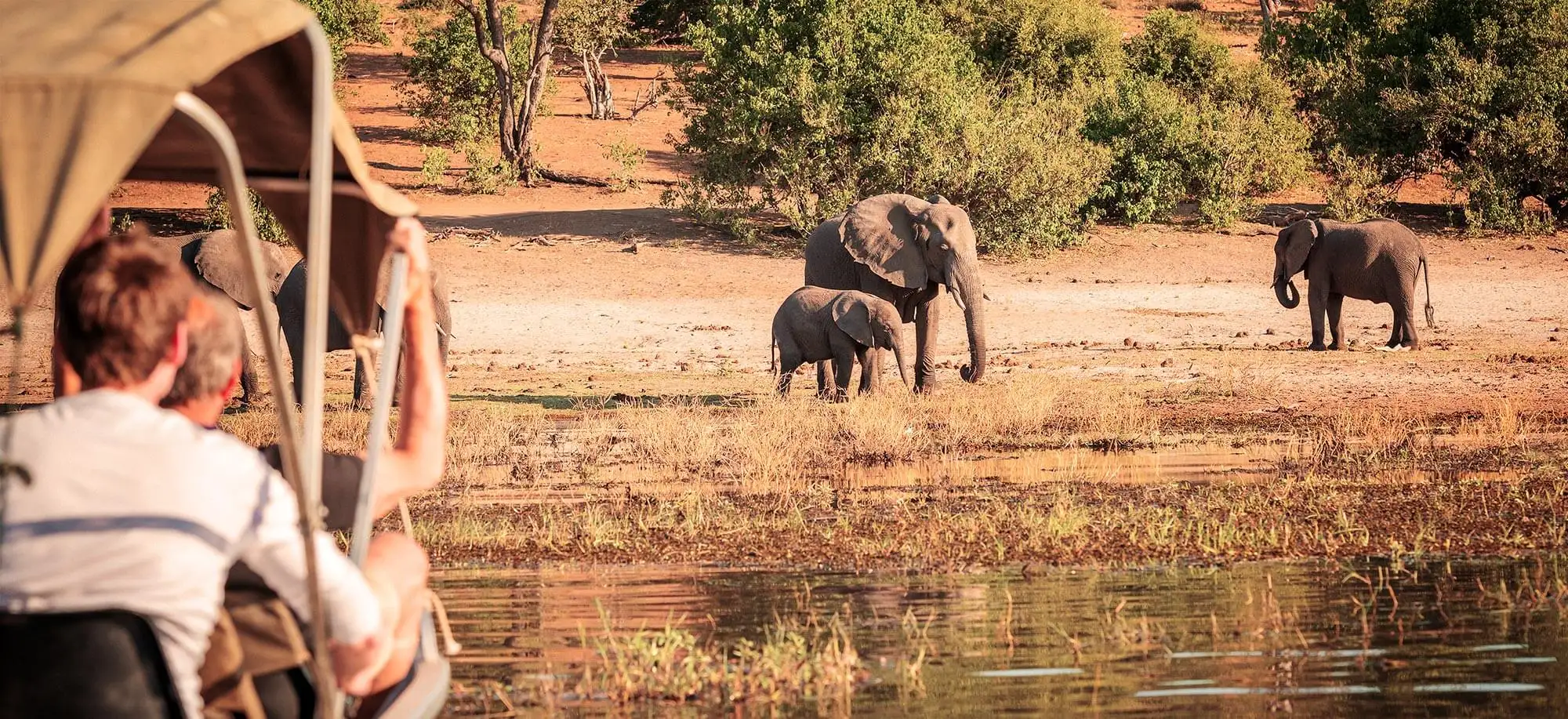 image-viajar-a-botsuana-kasane-g3.webp - Pangea Viajes