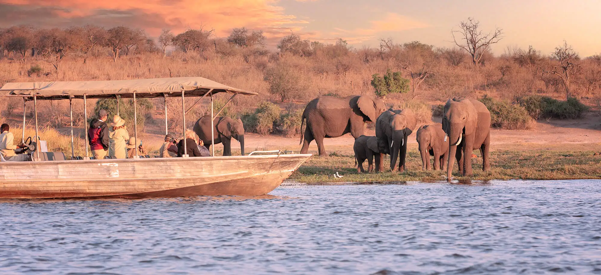Viatges al Parc Nacional Chobe