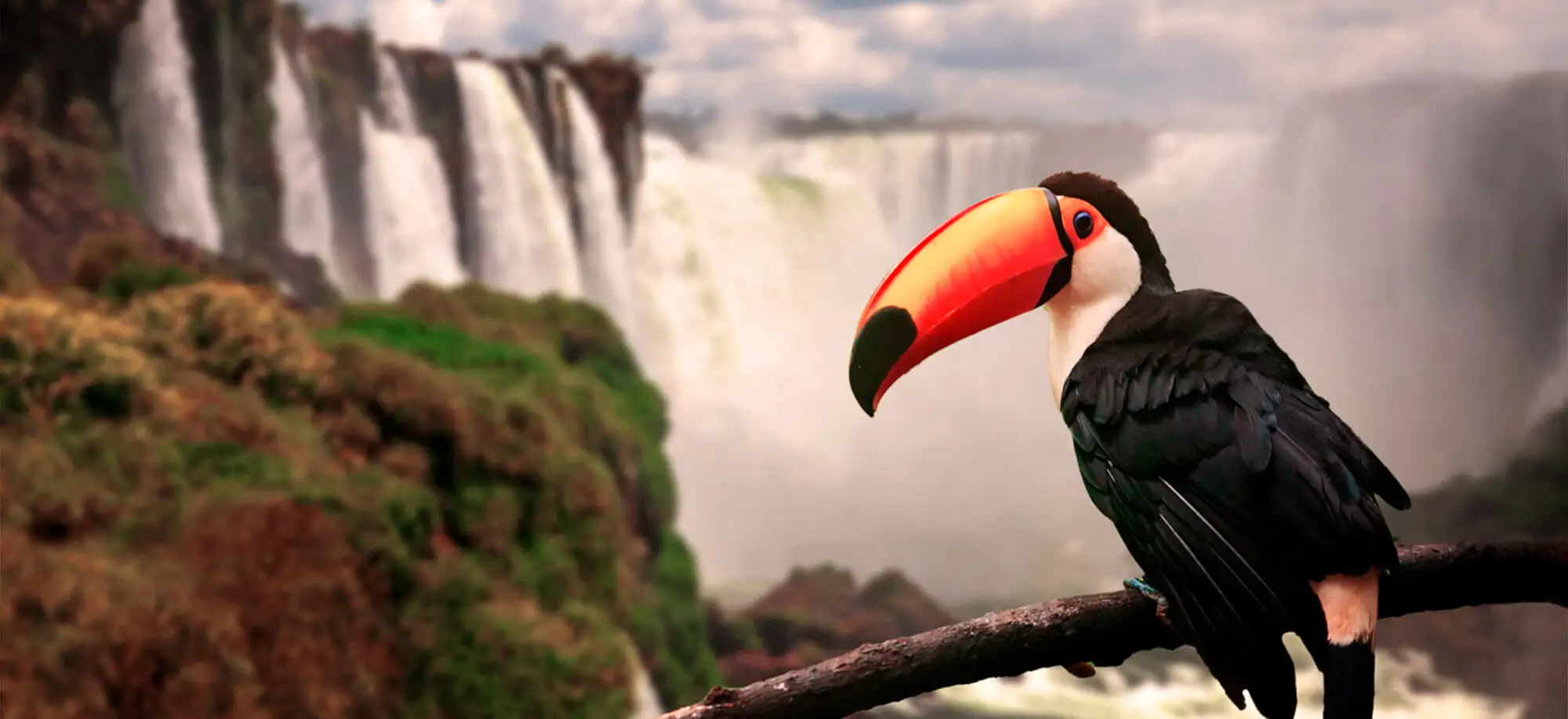 image-viajar-a-brasil-parque-nacional-iguazu-g-1.webp - Pangea Viajes