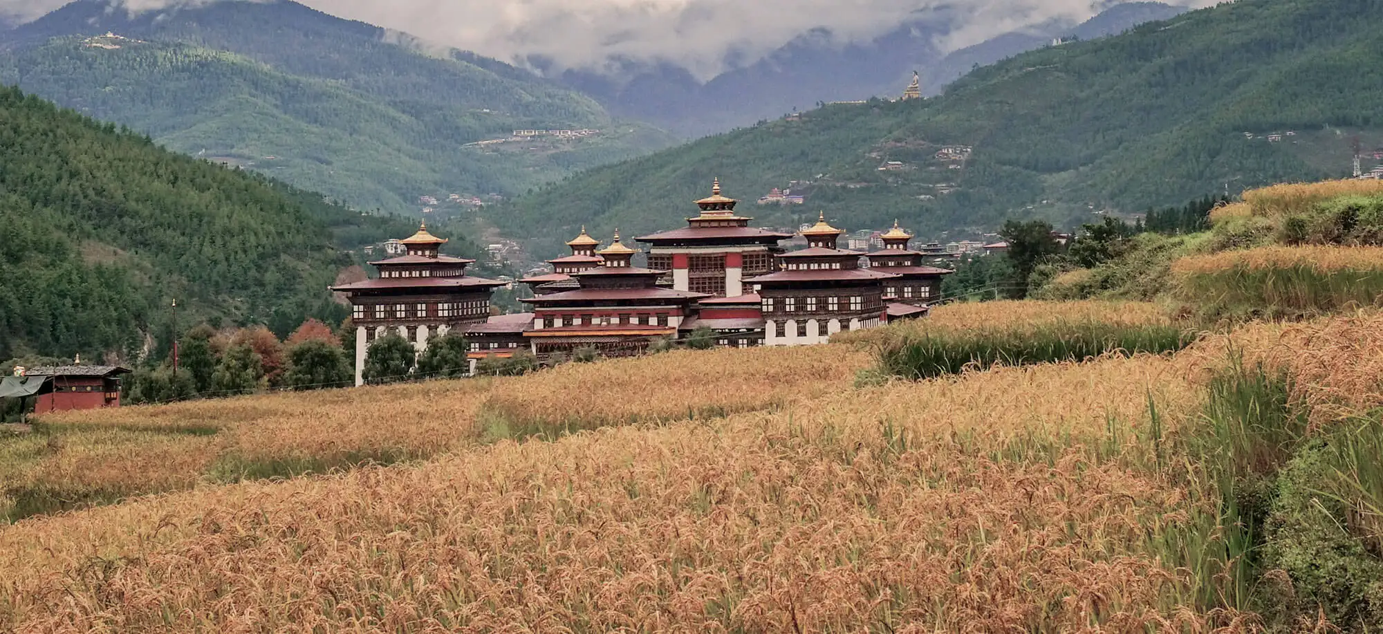 image-viajar-a-butan-dzong-tashichoe-g1.webp - Pangea Viajes