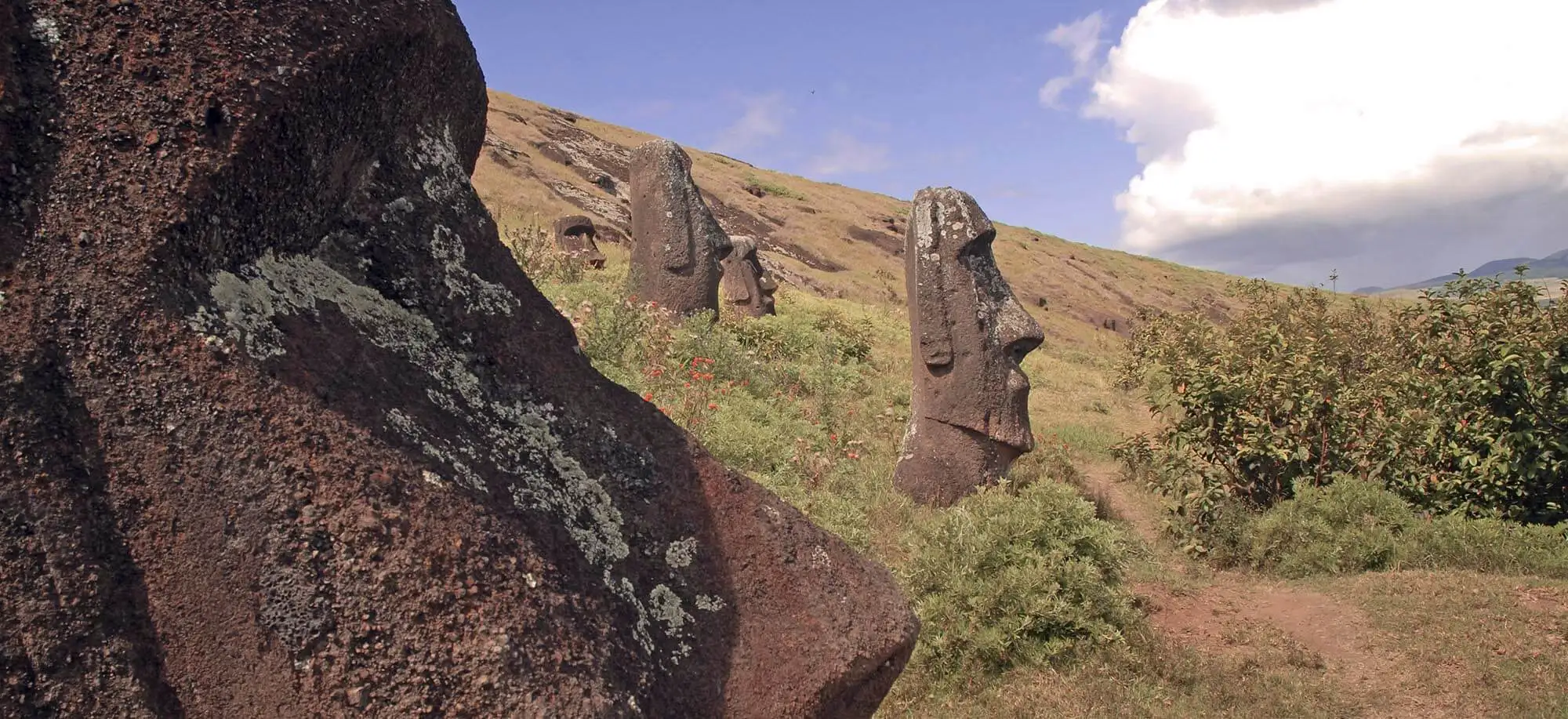 image-viajar-a-chile-isla-de-pascua-g3.webp - Pangea Viajes