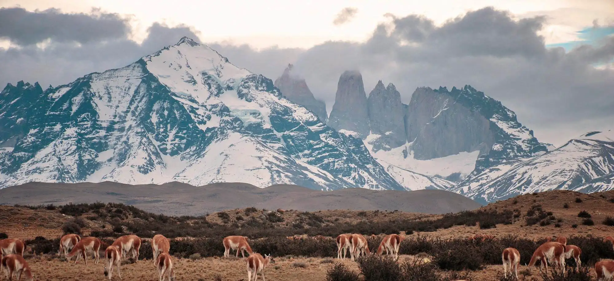 image-viajar-a-chile-torres-del-paine-g2.webp - Pangea Viajes