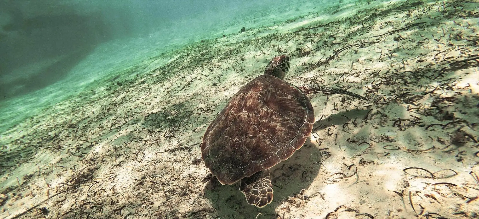 image-viajar-a-colombia-caribe-colombiano-g1.webp - Pangea Viajes