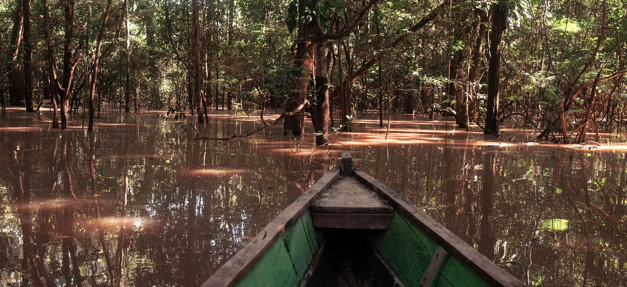 image-viajar-a-colombia-leticia-amazonas-g1.webp - Pangea Viajes