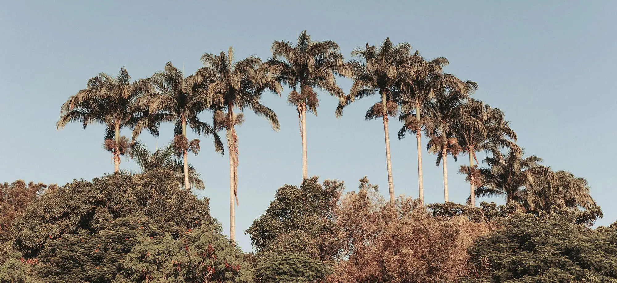 image-viajar-a-colombia-leticia-amazonas-g3.webp - Pangea Viajes