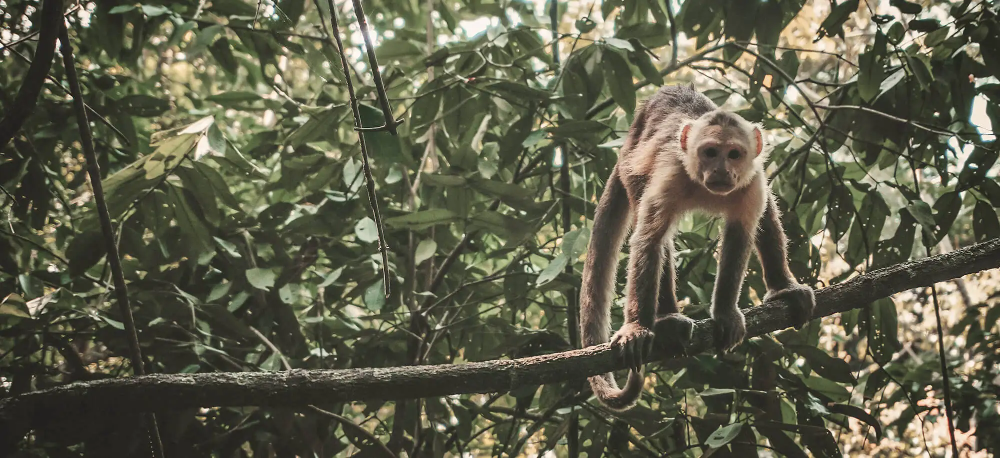 image-viajar-a-colombia-tayrona-g1.webp - Pangea Viajes