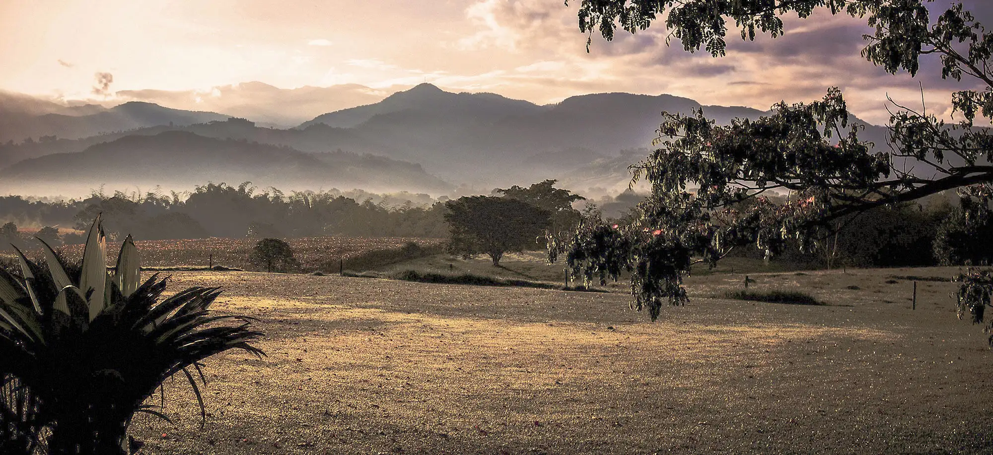 image-viajar-a-colombia-triangulo-del-cafe-g2.webp - Pangea Viajes