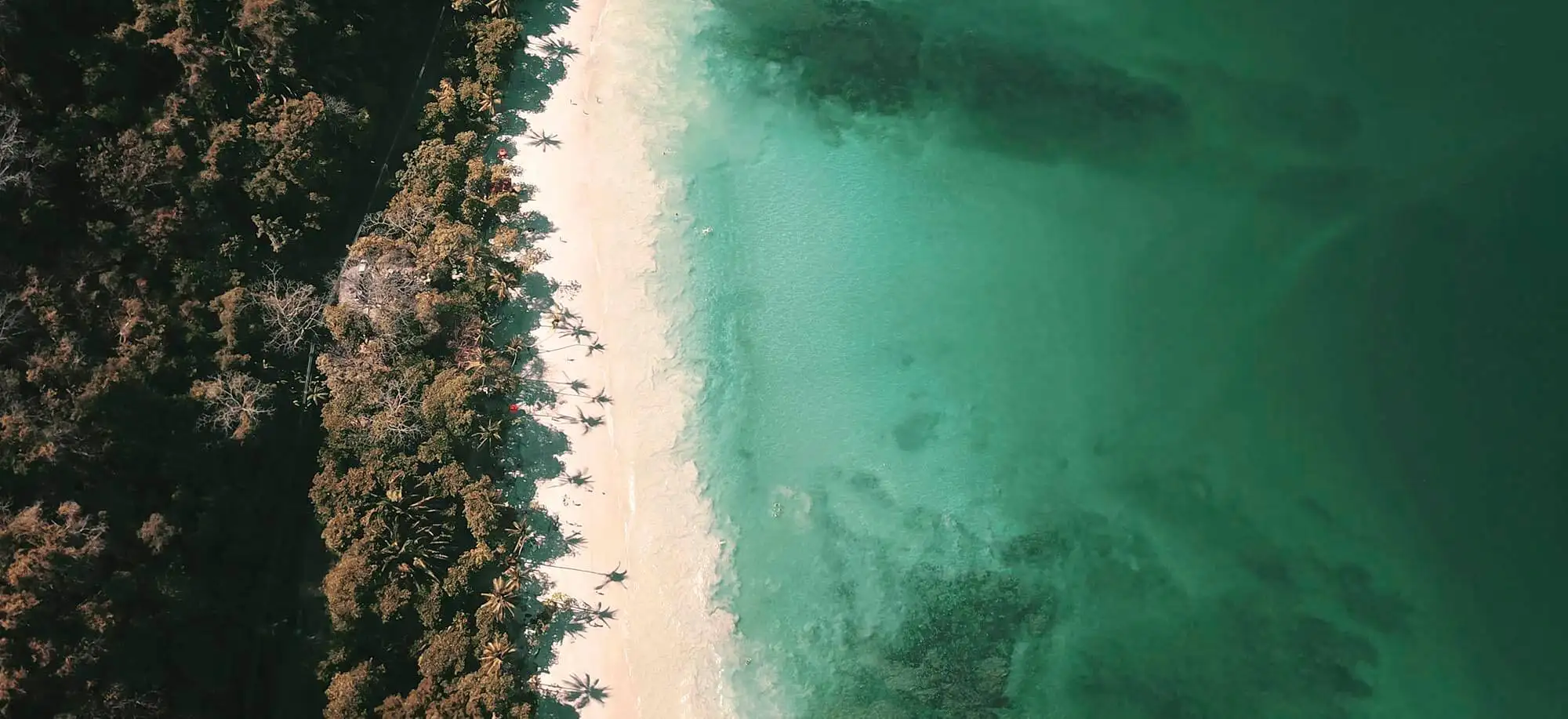 image-viajar-a-costa-rica-playas-de-costa-rica-g2.webp - Pangea Viajes