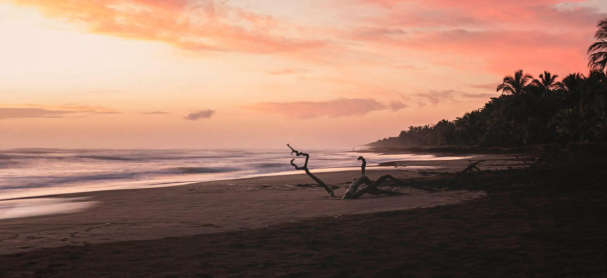 image-viajar-a-costa-rica-pn-de-tortuguero-g3.webp - Pangea Viajes