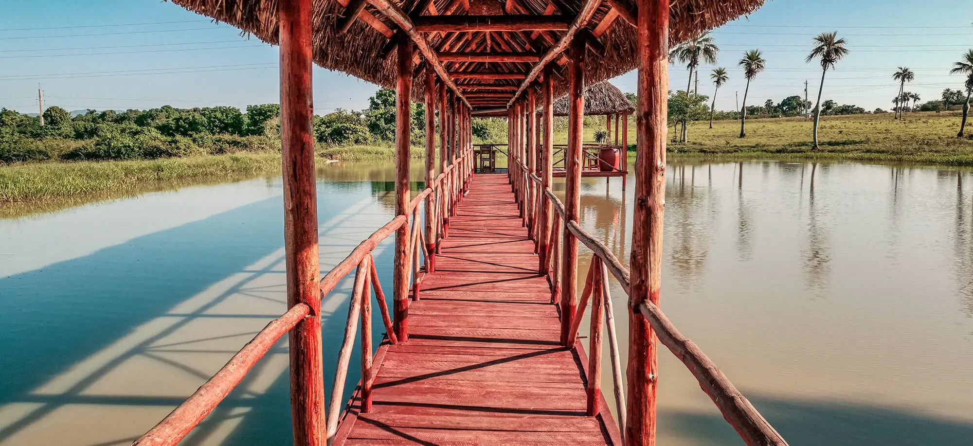 image-viajar-a-cuba-valle-de-vinales-g2.webp - Pangea Viajes