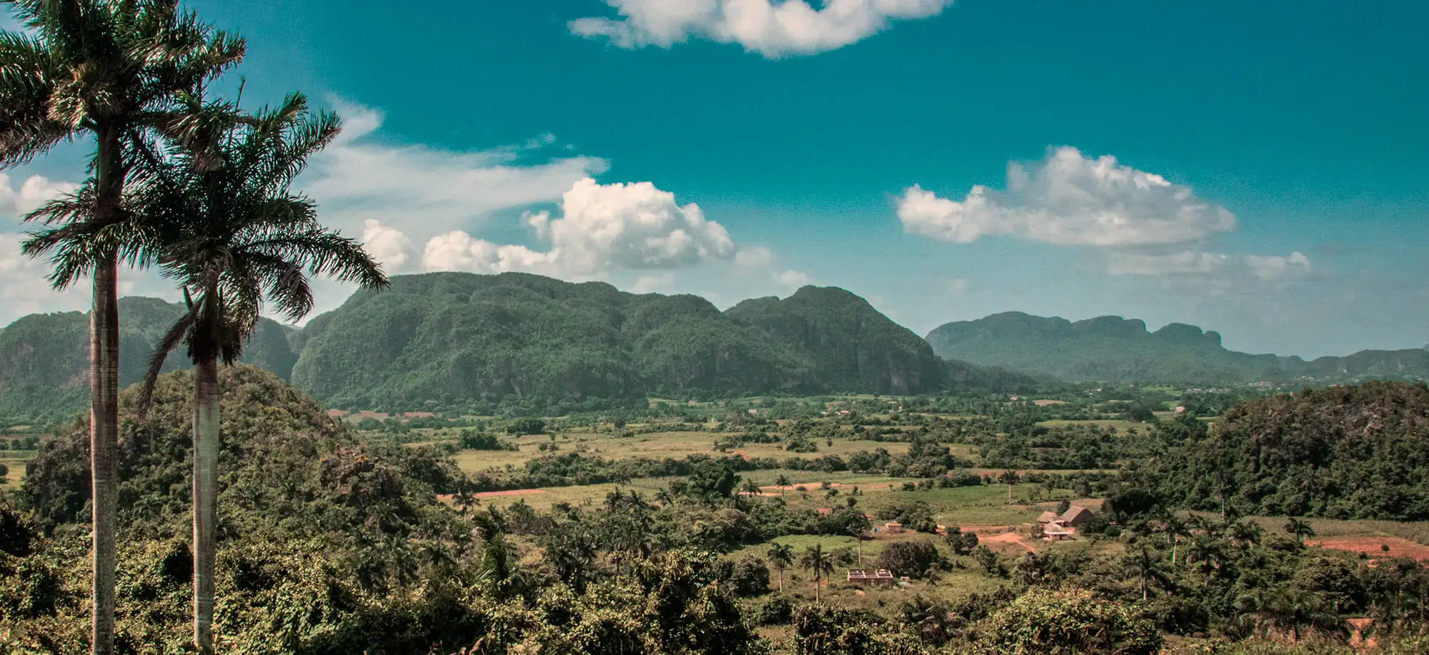 image-viajar-a-cuba-valle-de-vinales-g3.webp - Pangea Viajes