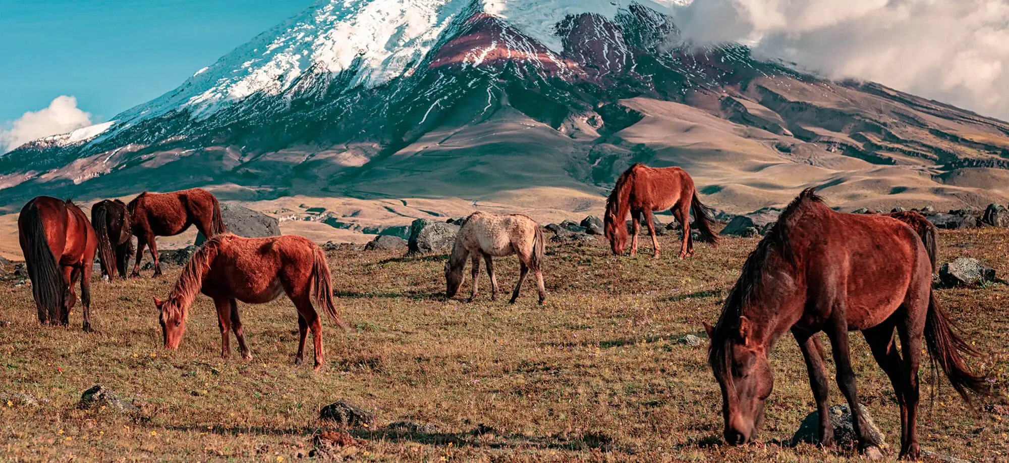 Viatges al Volcà Cotopaxi