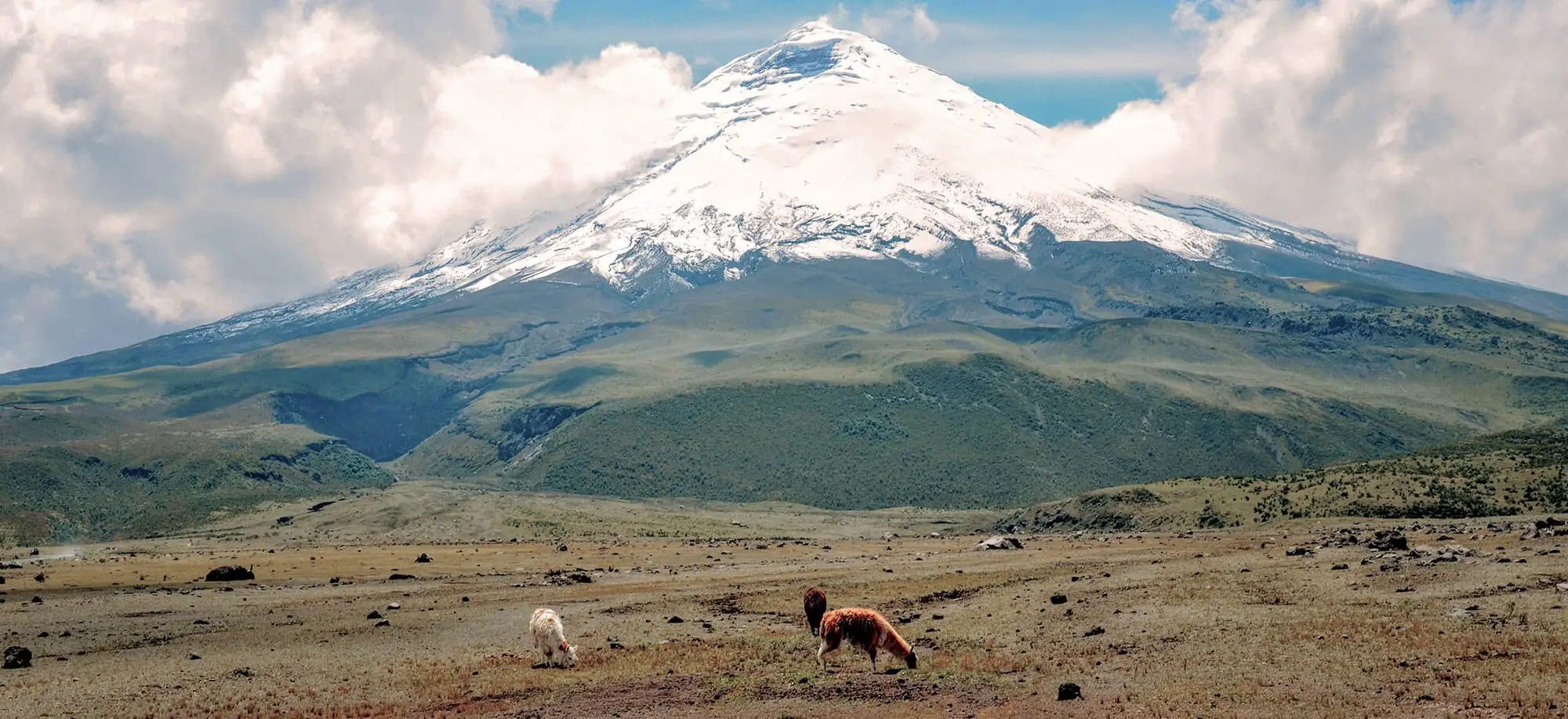 image-viajar-a-ecuador-volcan-cotopaxi-g1.webp - Pangea Viajes