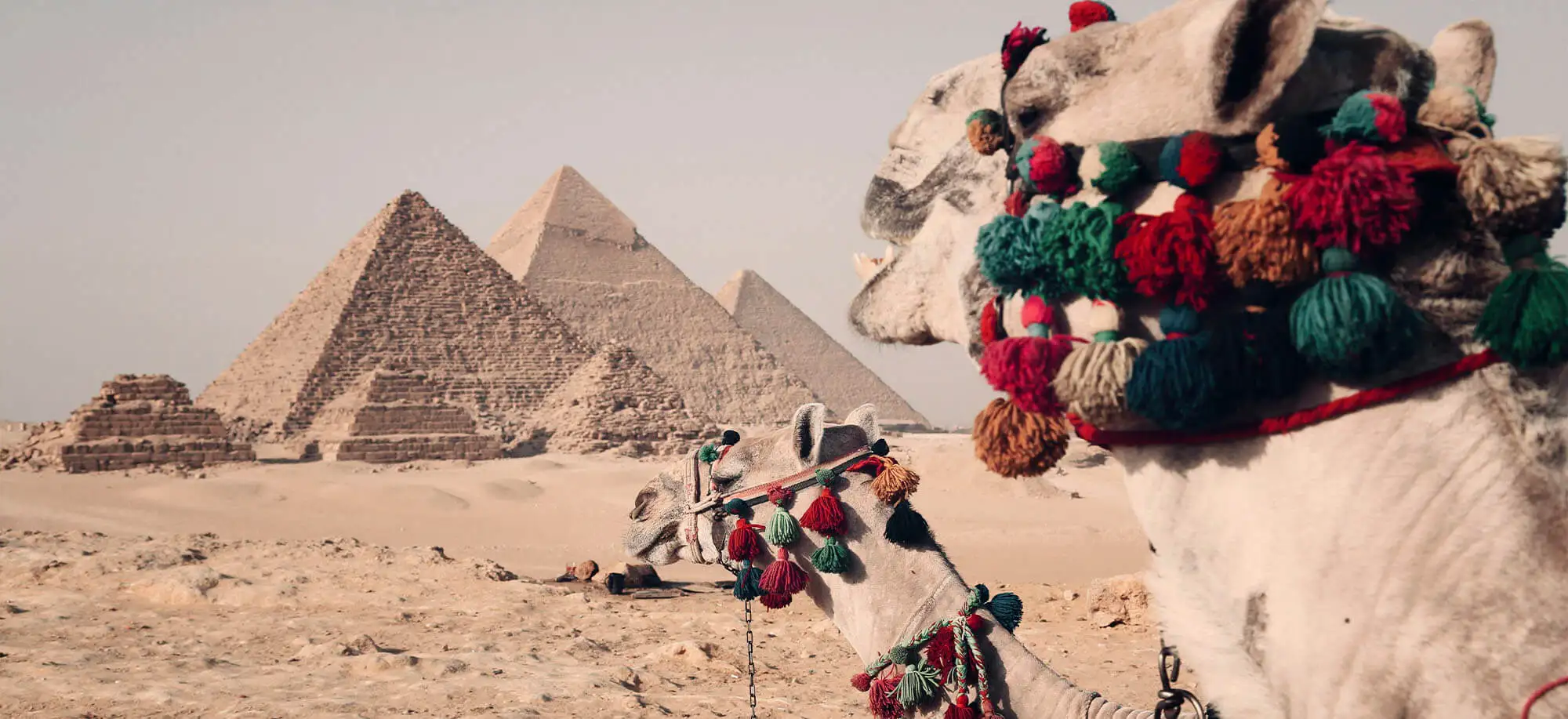 image-viajar-a-egipto-el-cairo-g1.webp - Pangea Viajes