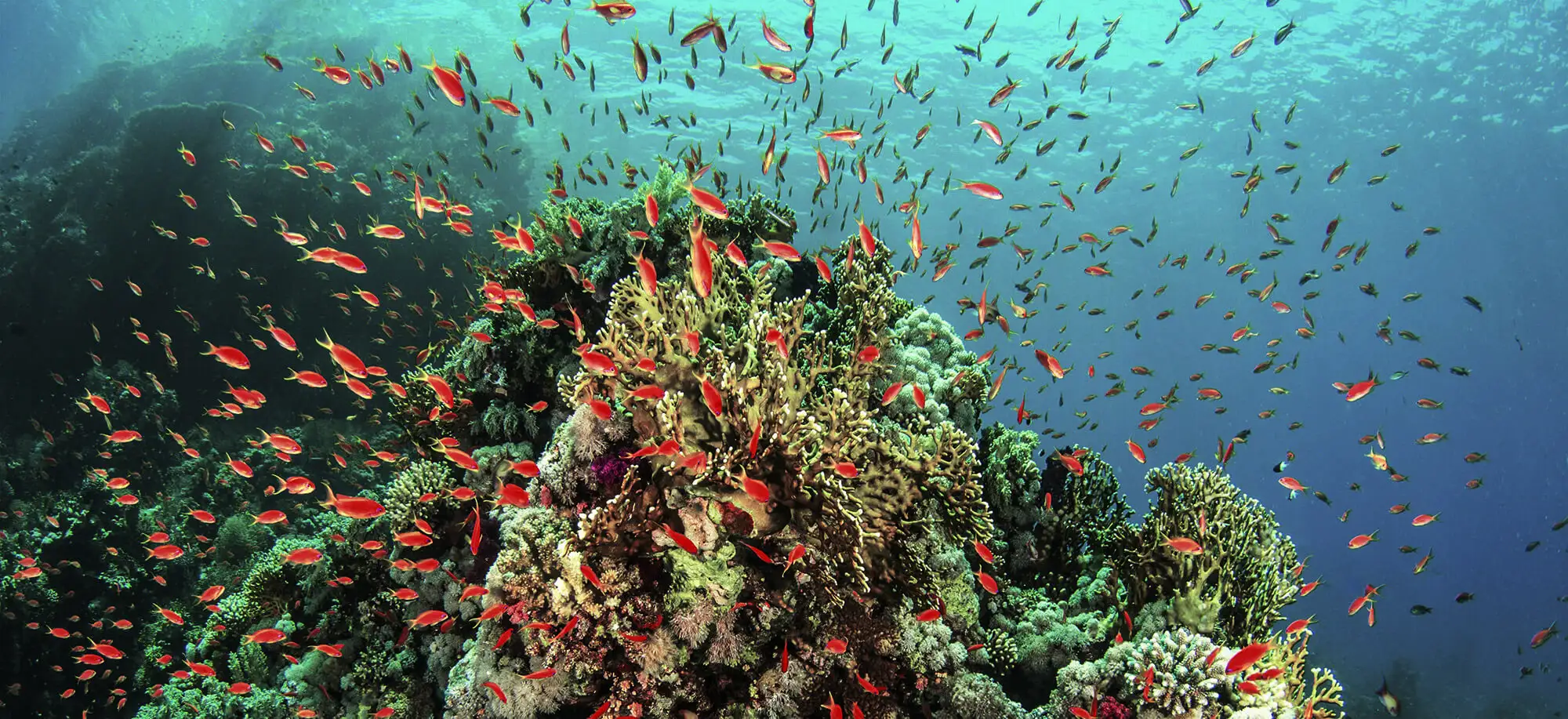 Viatges a Sharm el Sheikh