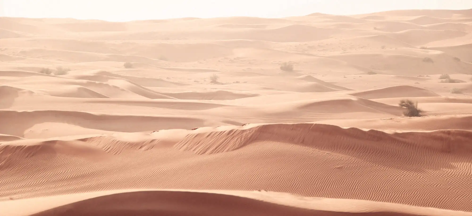 image-viajar-a-emiratos-arabes-desierto-de-dubai-g2.webp - Pangea Viajes