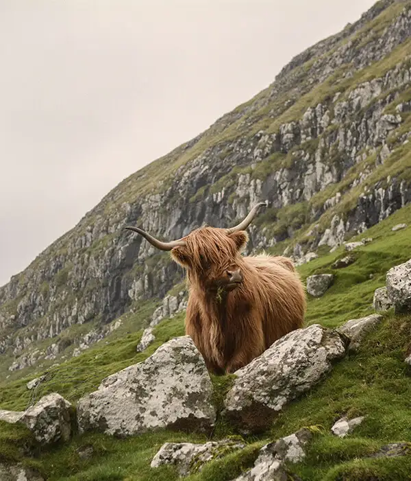 Viajes a la Isla de Skye
