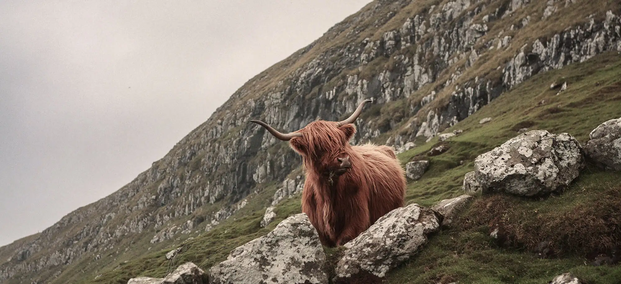 Viatges a l'Illa de Skye