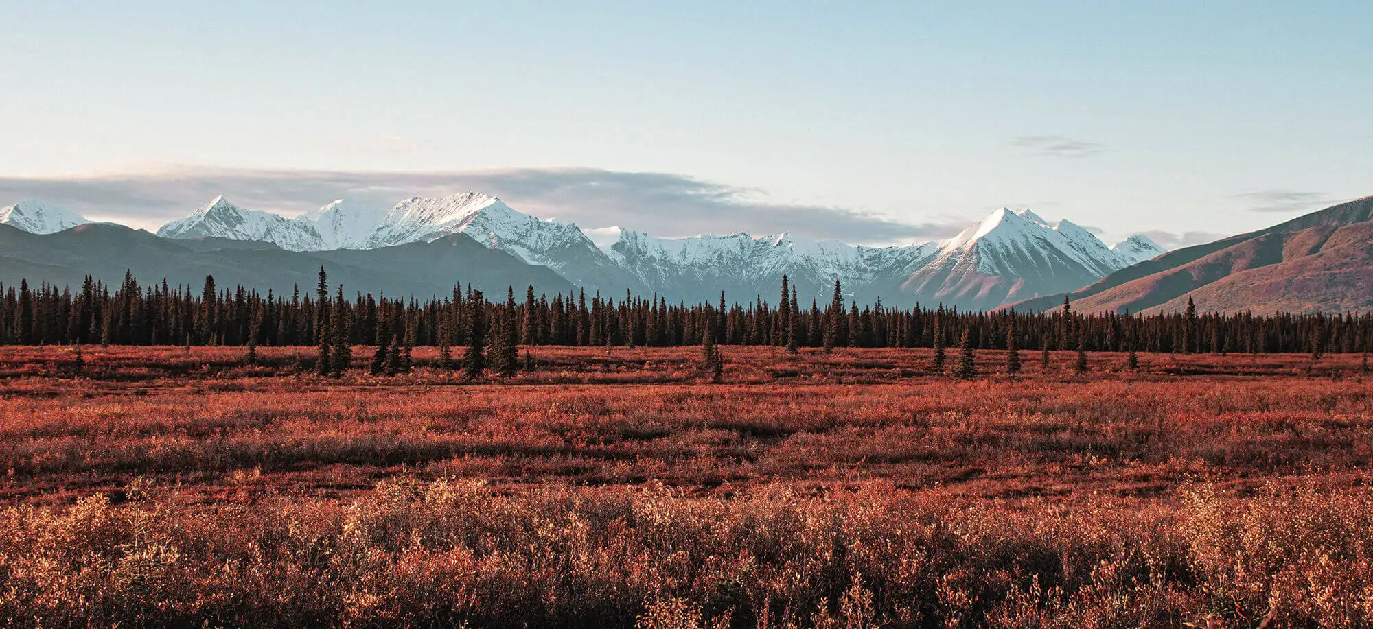 Viatges a Alaska