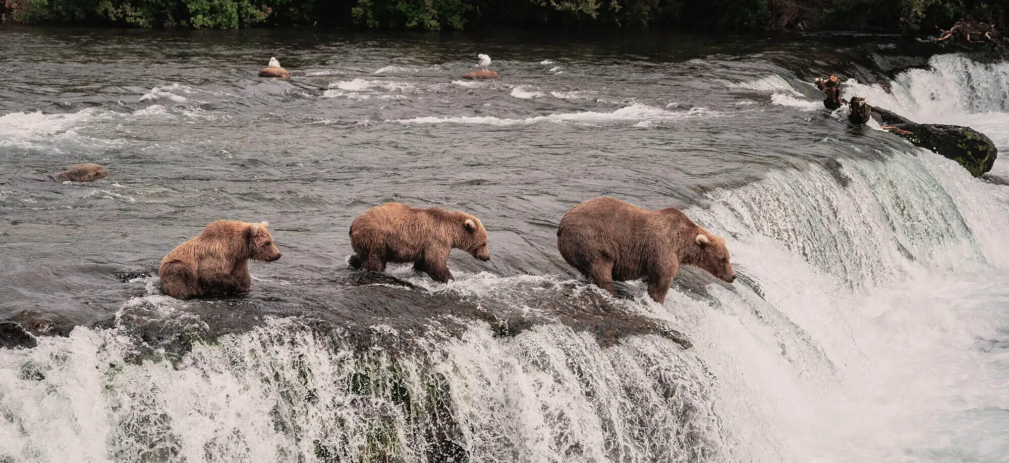 image-viajar-a-estados-unidos-alaska-g2.jpg - Pangea Viajes