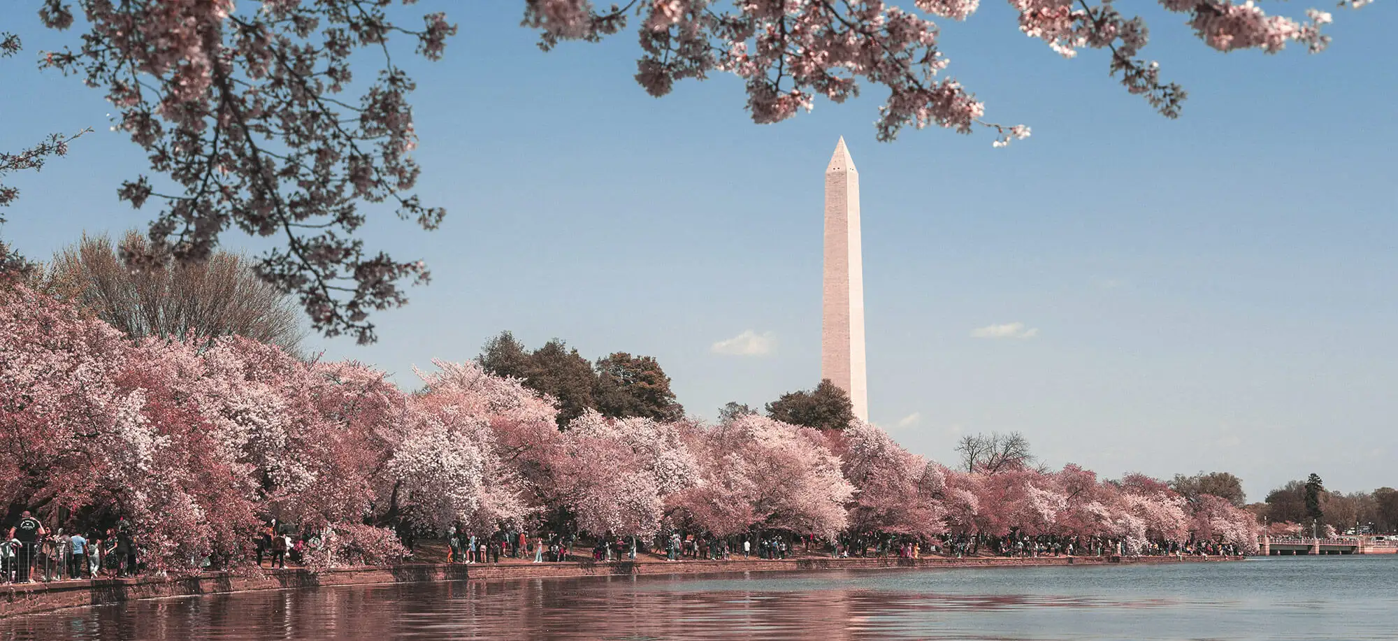 image-viajar-a-estados-unidos-costa-este-g3.webp - Pangea Viajes