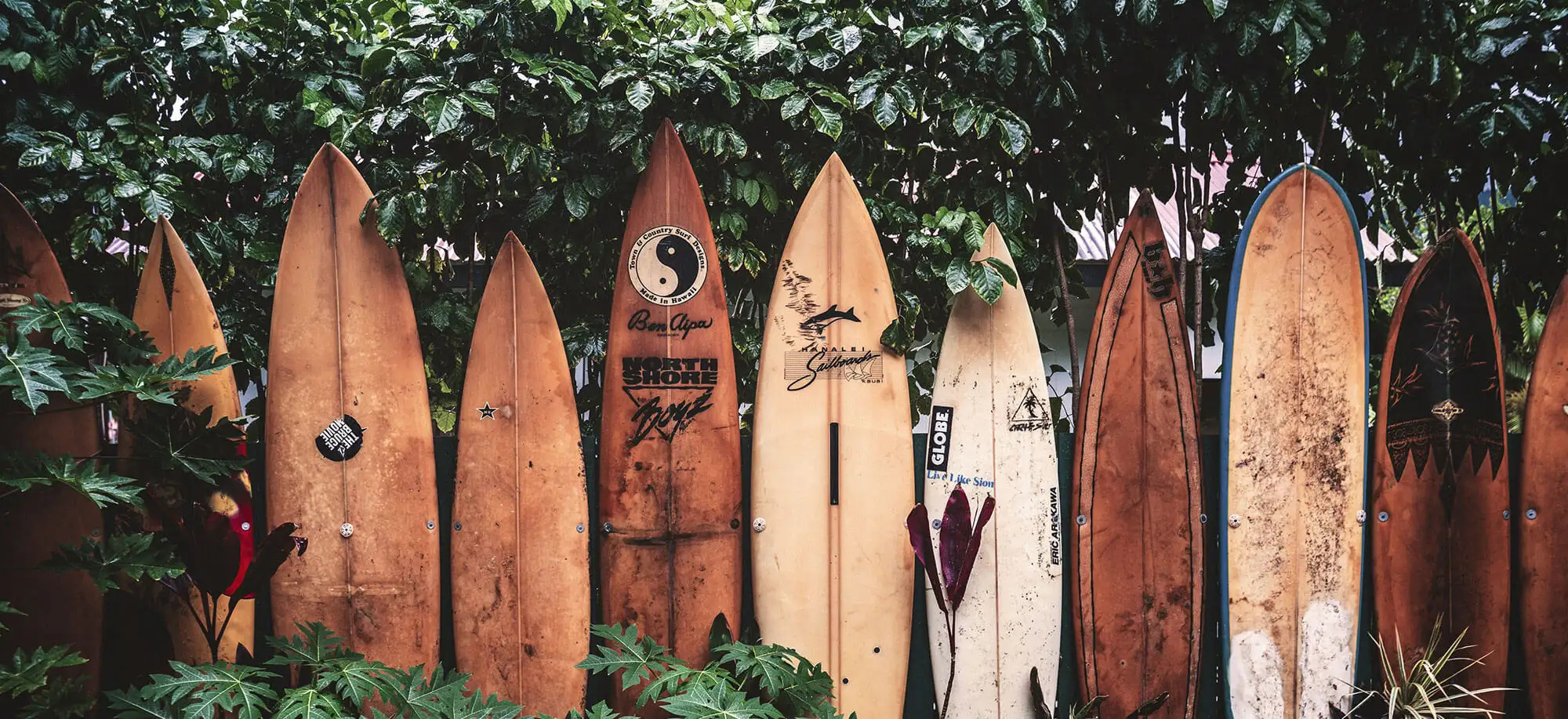 image-viajar-a-estados-unidos-hawai-g3.webp - Pangea Viajes