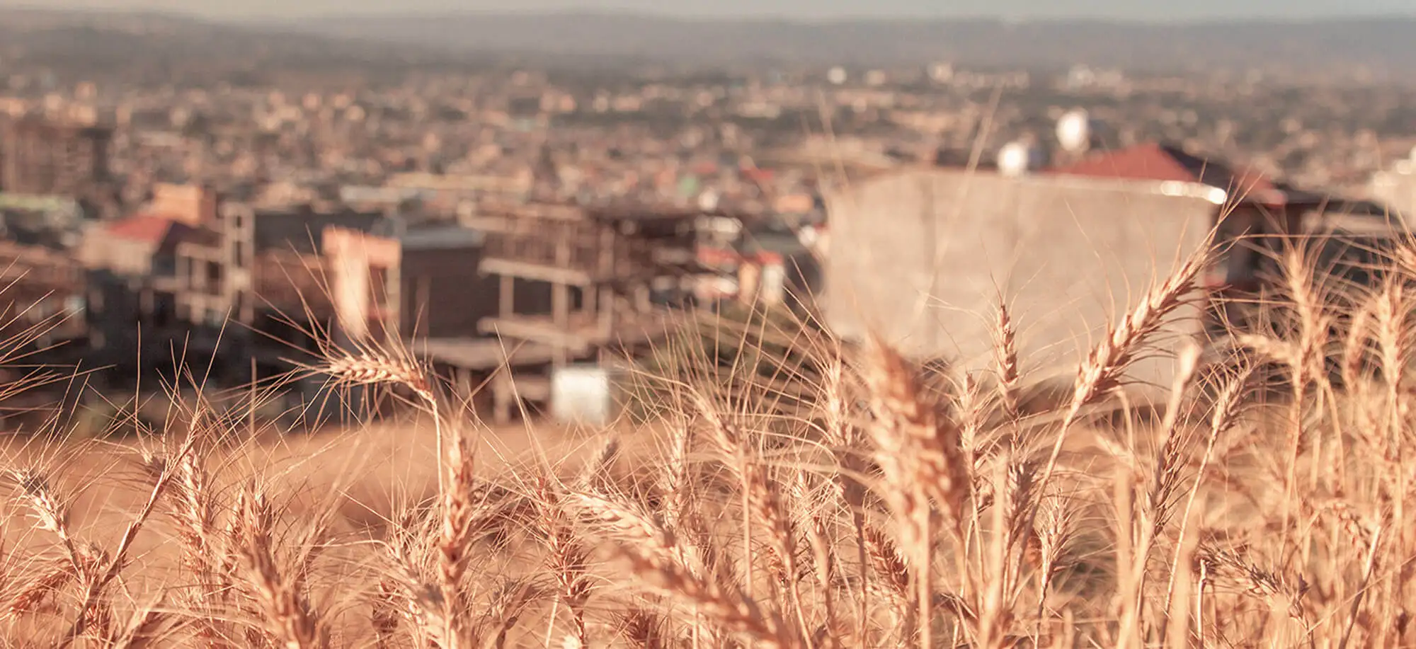 image-viajar-a-etiopia-adis abeba-g-2.webp - Pangea Viajes