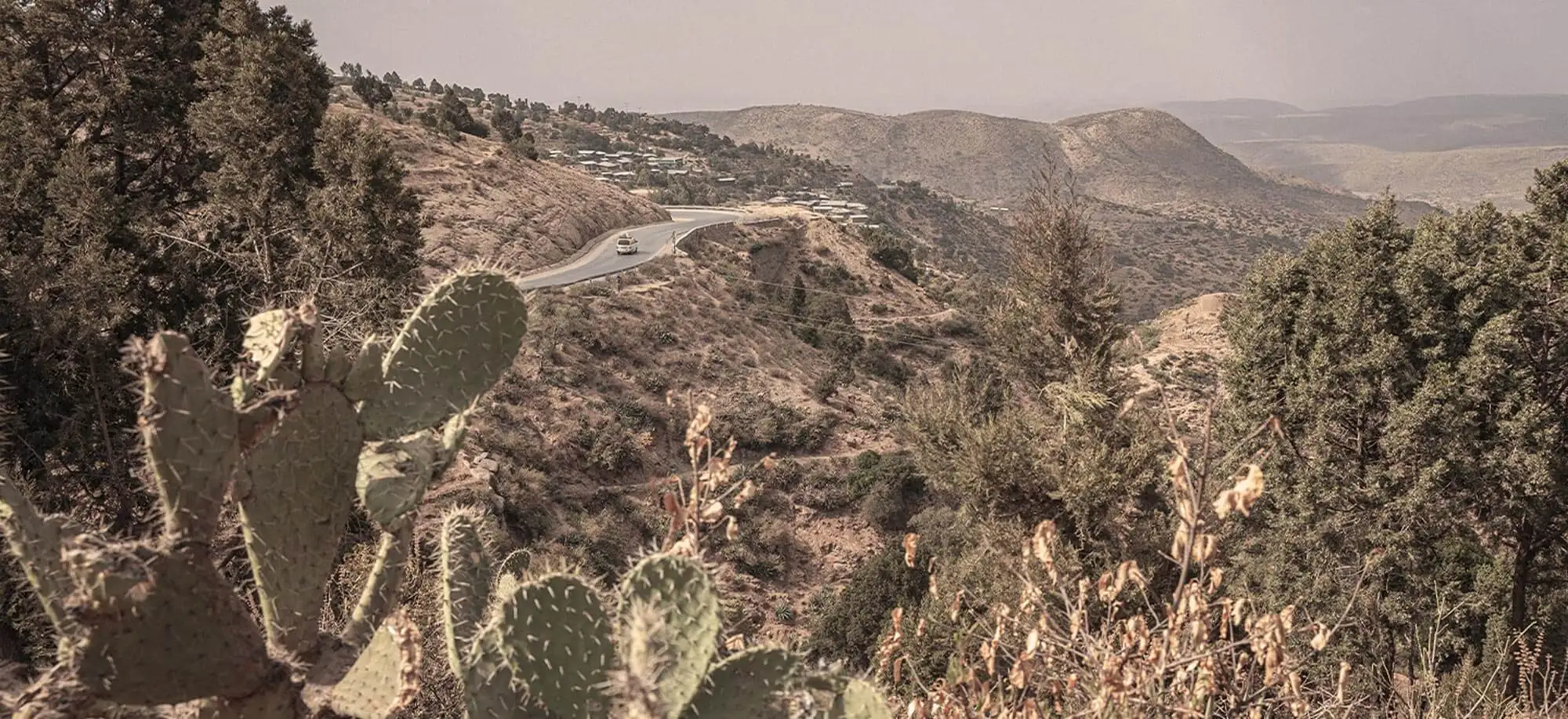 image-viajar-a-etiopia-harar-g-3.webp - Pangea Viajes