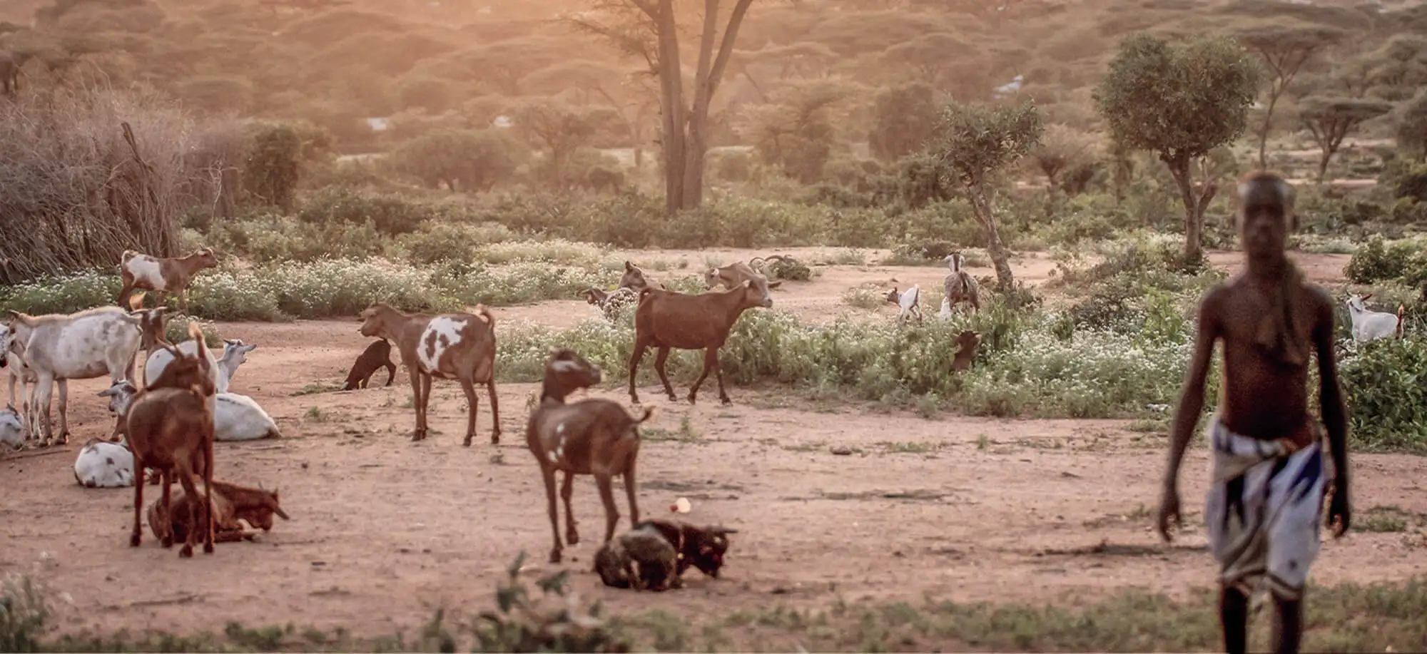 image-viajar-a-etiopia-valle del omo-g-3.webp - Pangea Viajes