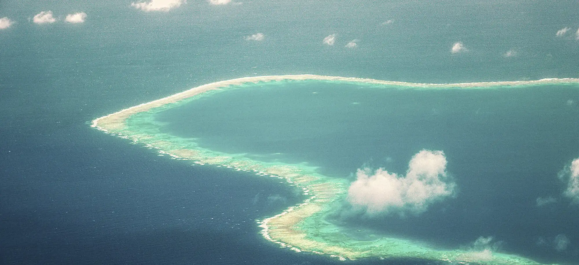 image-viajar-a-fiji-vanua-levu-g-1.webp - Pangea Viajes