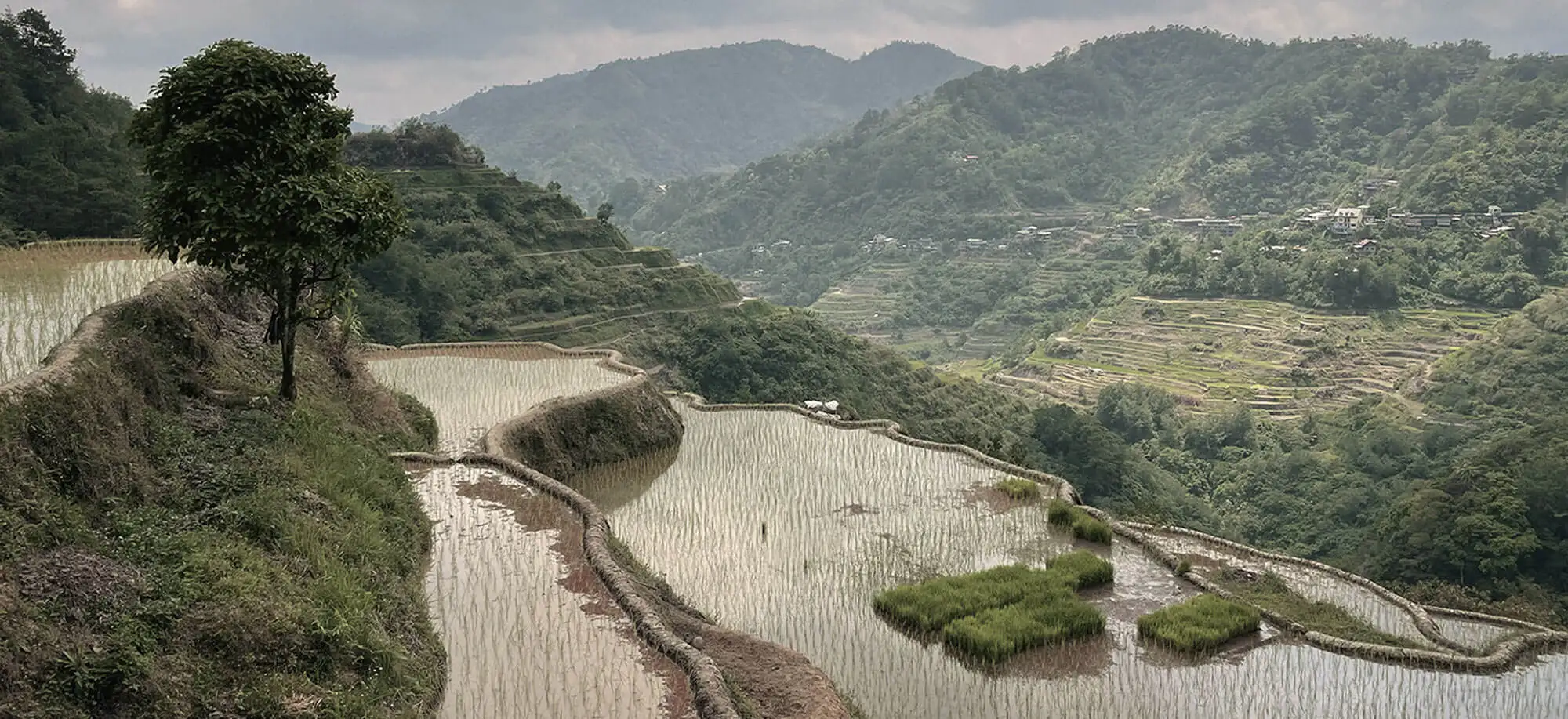 image-viajar-a-filipinas-banaue-g-2.webp - Pangea Viajes