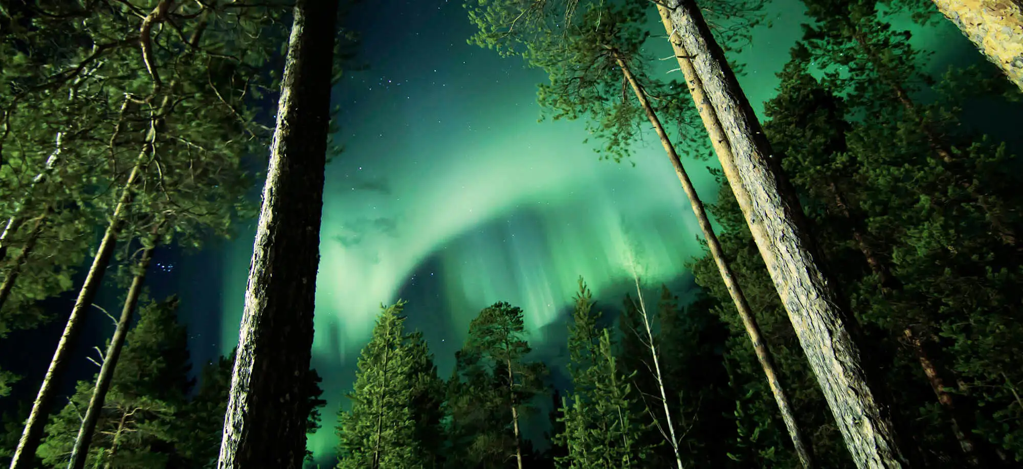 image-viajar-a-finlandia-ivalo-g3.webp - Pangea Viajes