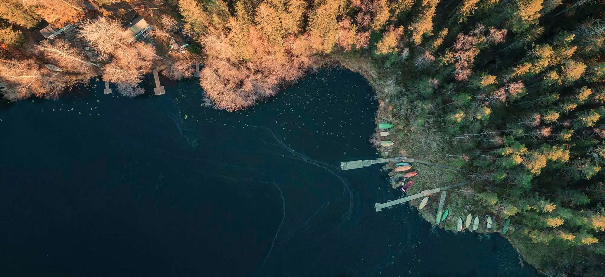 image-viajar-a-finlandia-parque-nacional-de-nuuksio-g1.webp - Pangea Viajes