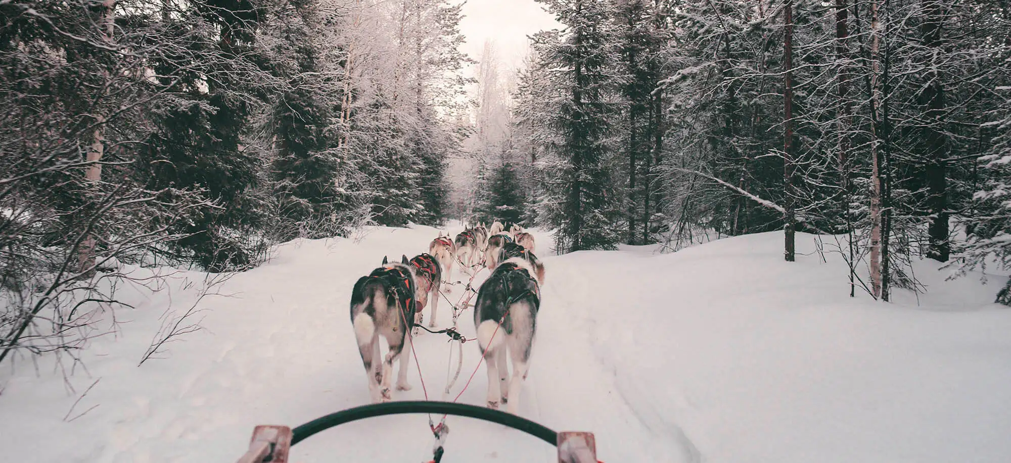 image-viajar-a-finlandia-rovaniemi-g1.webp - Pangea Viajes