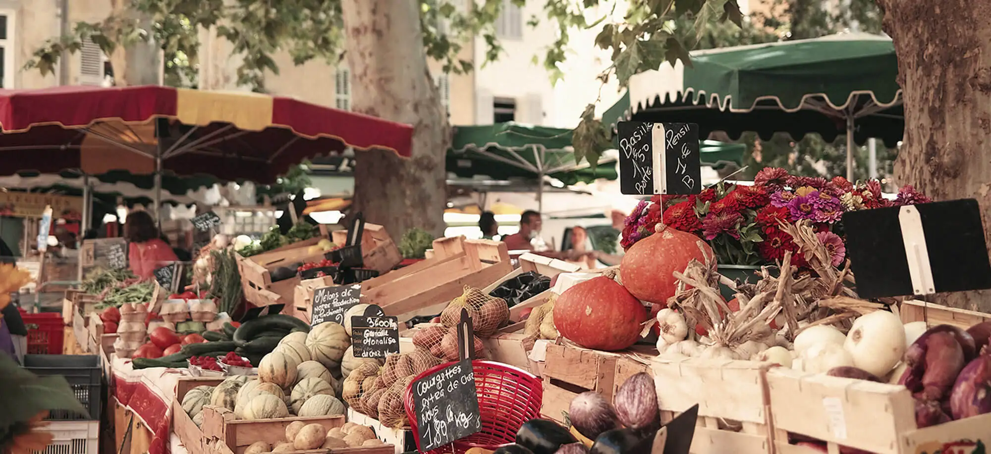 image-viajar-a-francia-la provenza-g-1.webp - Pangea Viajes