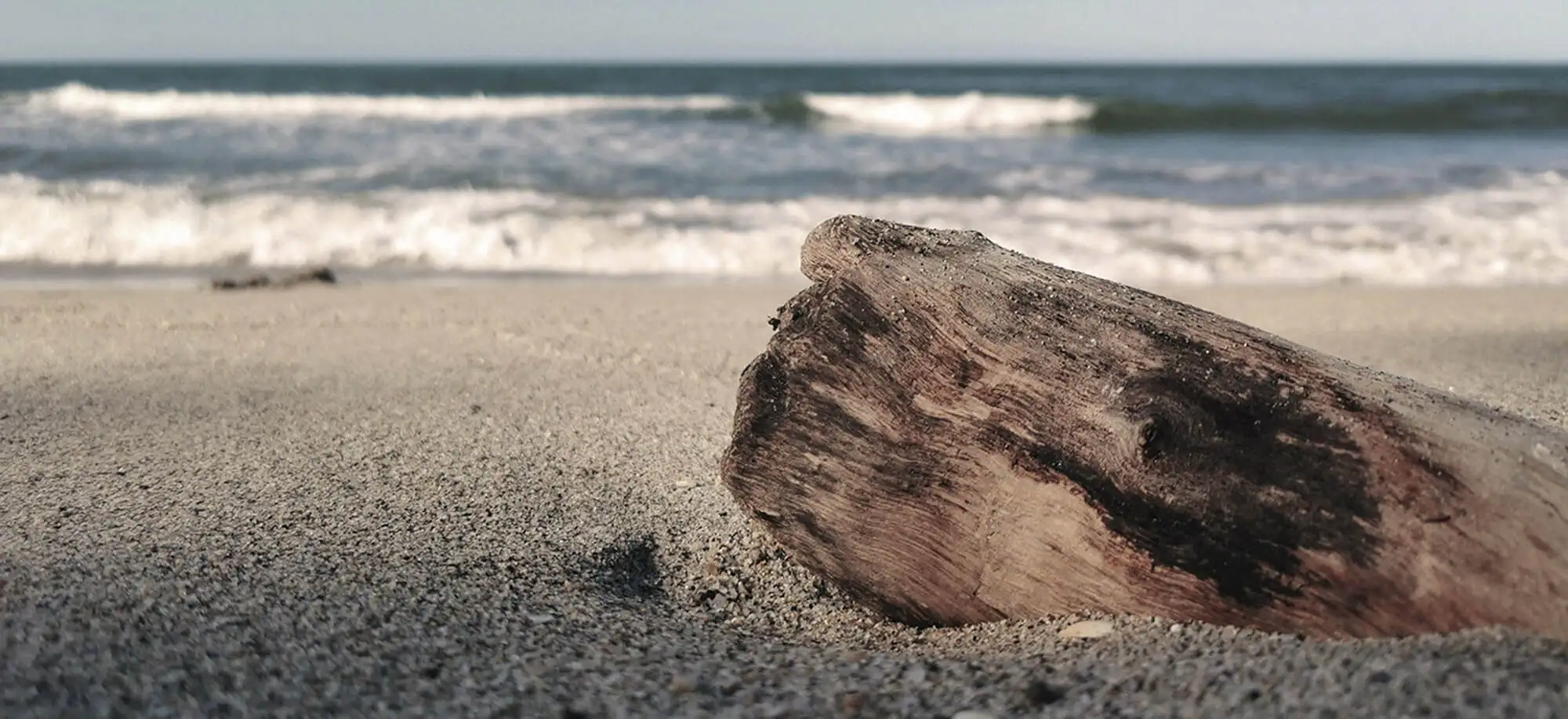 image-viajar-a-honduras-la ceiba-g-2.webp - Pangea Viajes