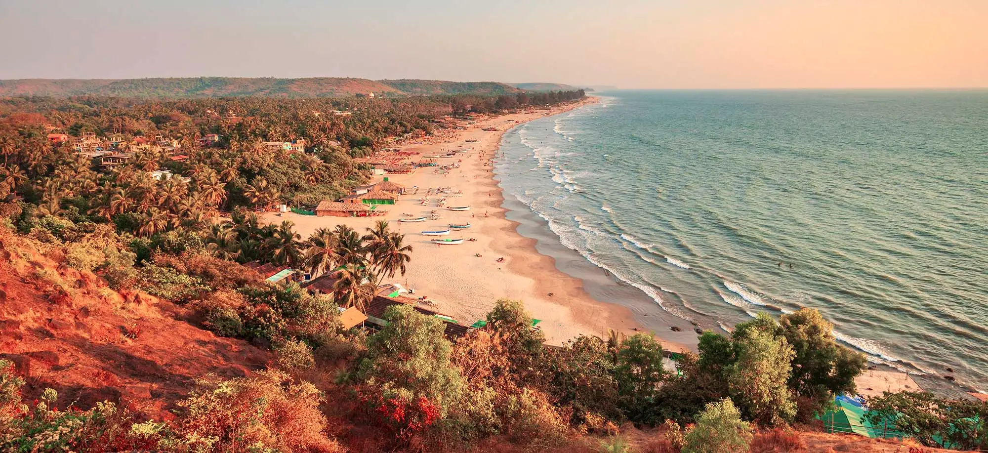 image-viajar-a-india-kerala-g2.webp - Pangea Viajes