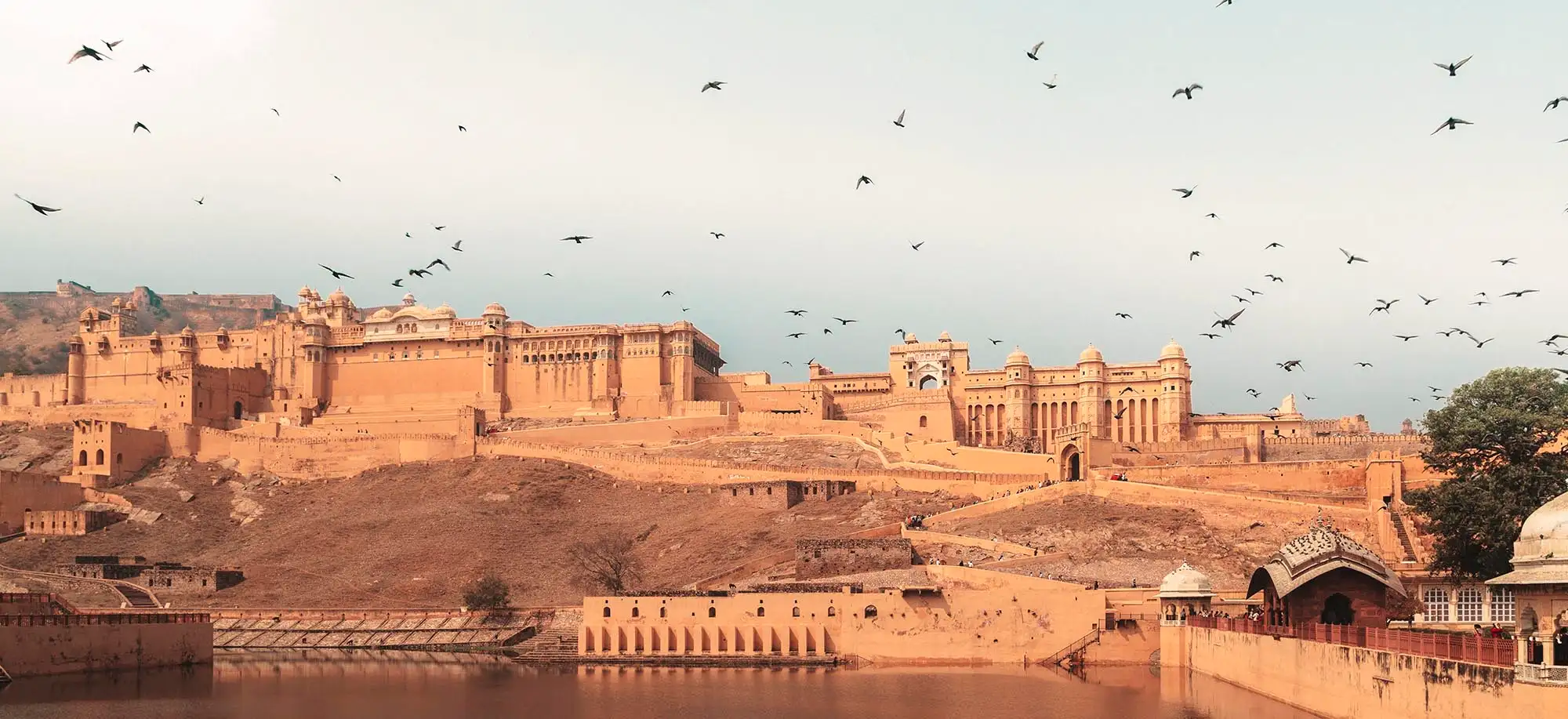 image-viajar-a-india-rajastan-g1.webp - Pangea Viajes