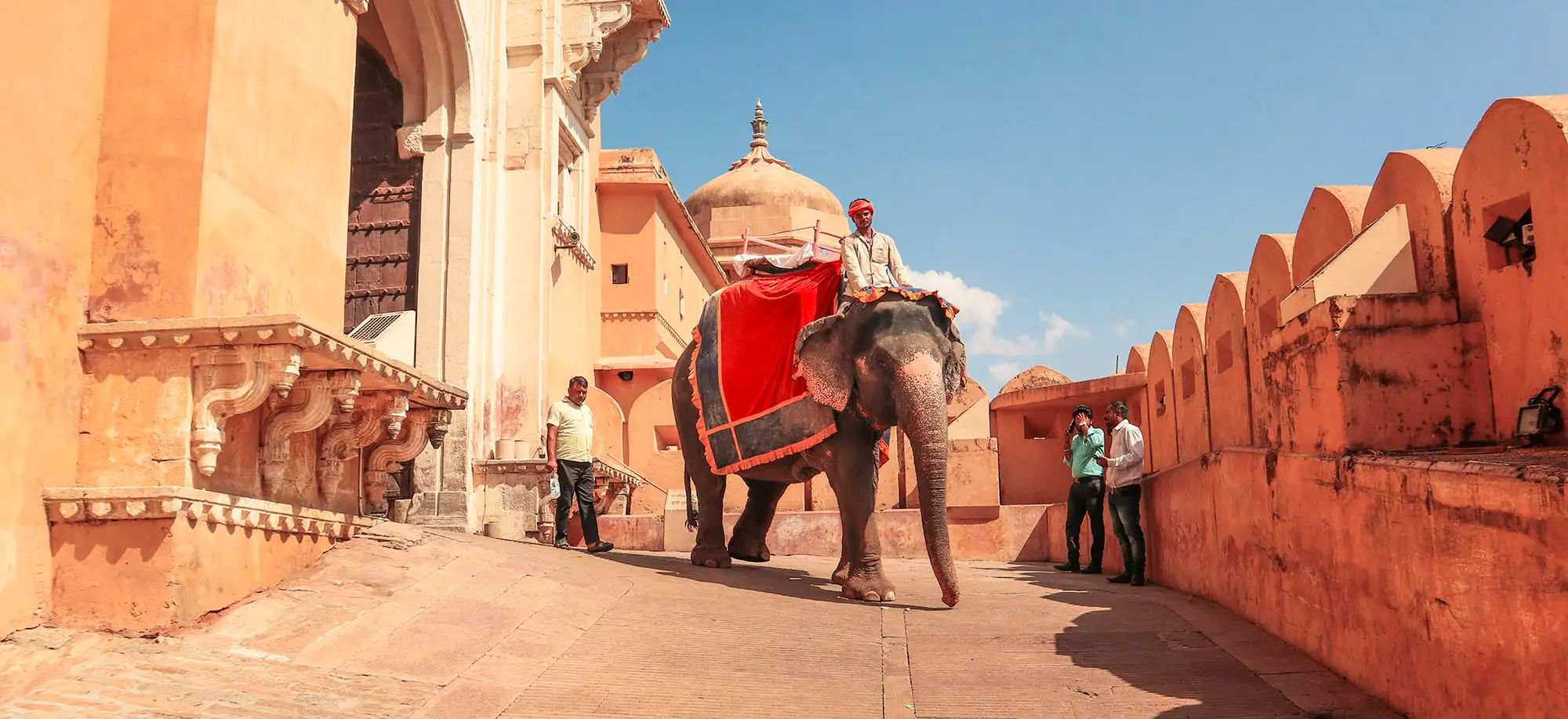 image-viajar-a-india-rajastan-g3.webp - Pangea Viajes