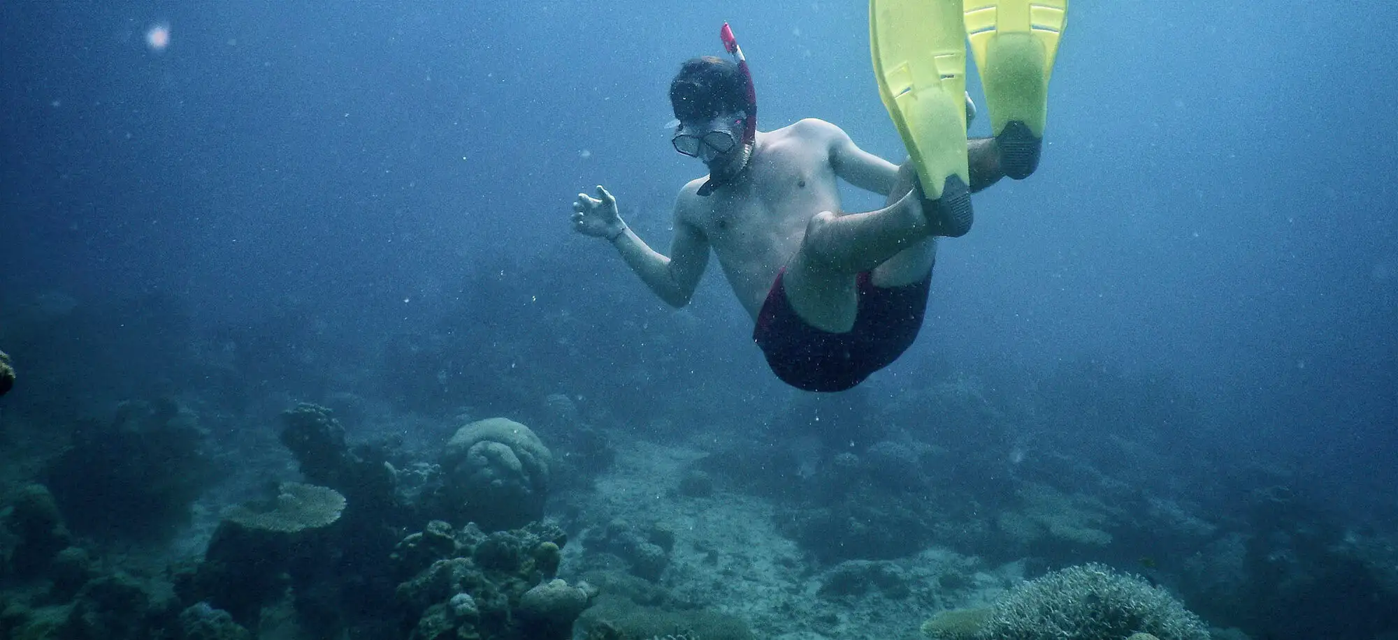 image-viajar-a-indonesia-parque-nacional-de-Karimunjawa-g2.webp - Pangea Viajes