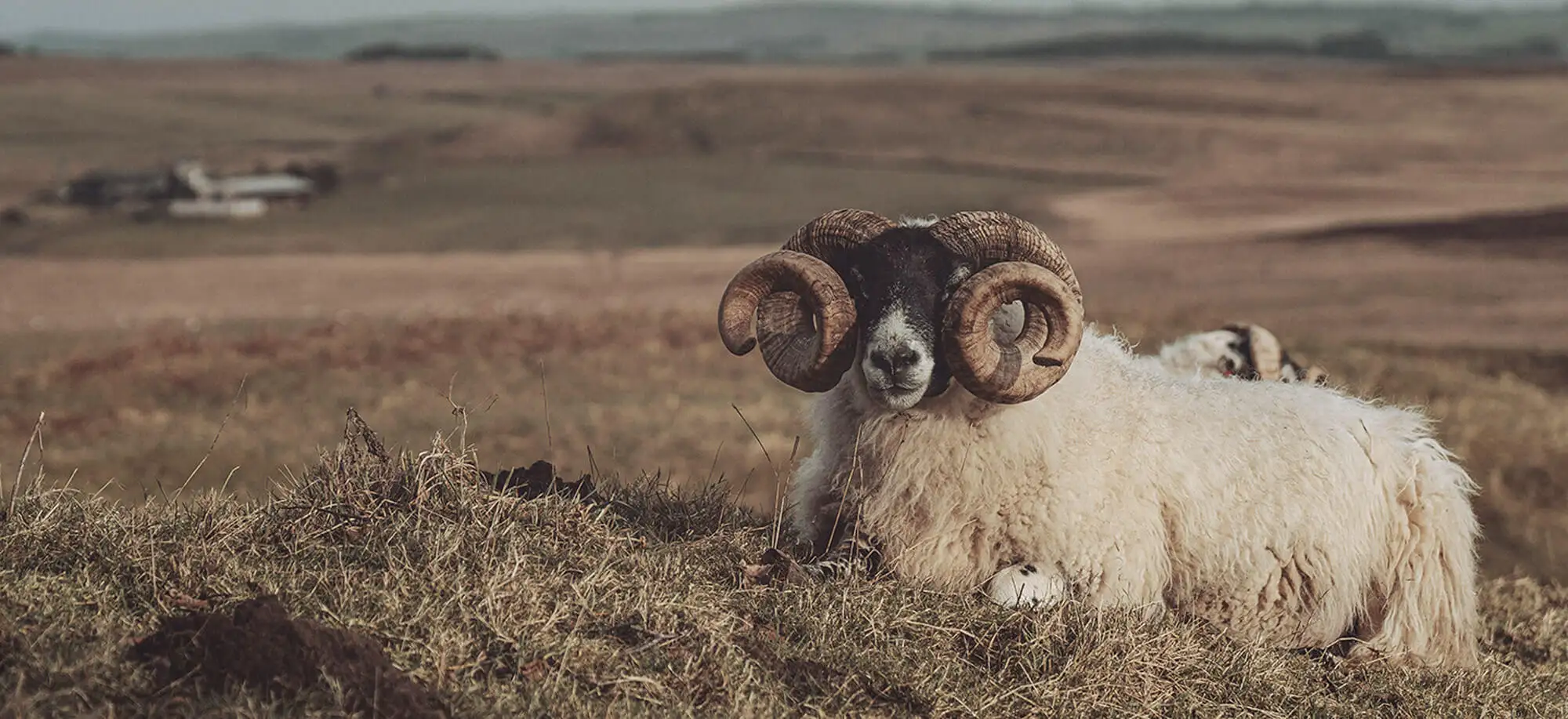 image-viajar-a-inglaterra-muro de adriano-g-3.webp - Pangea Viajes