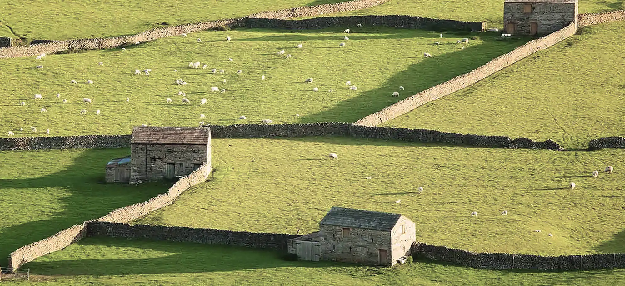 image-viajar-a-inglaterra-parque nacional de yorkshire-g-1.webp - Pangea Viajes