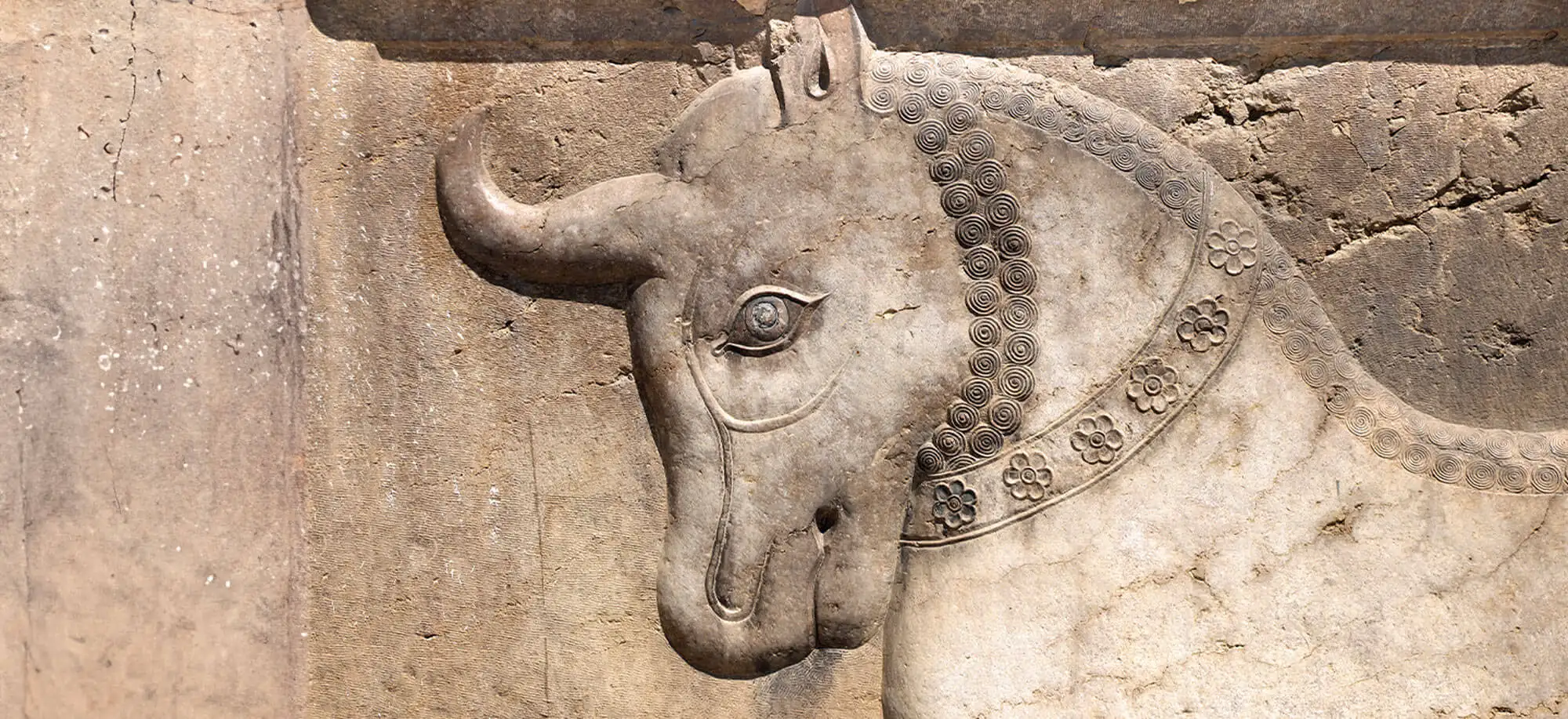 image-viajar-a-iran-jardines de Narenjestan-g-2.webp - Pangea Viajes