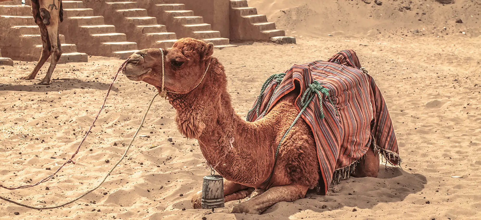 image-viajar-a-iran-yazd-g-1.webp - Pangea Viajes