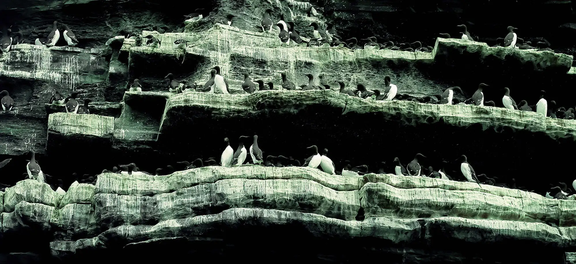 image-viajar-a-irlanda-acantilados de moher-g-2.webp - Pangea Viajes