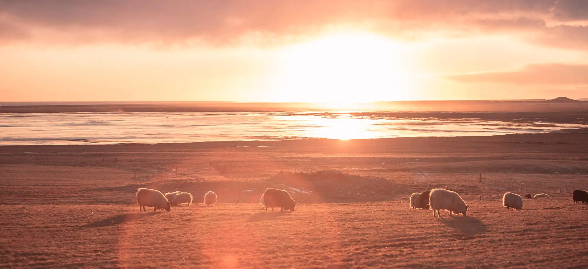 image-viajar-a-islandia-sol-de-medianoche-g2.webp - Pangea Viajes